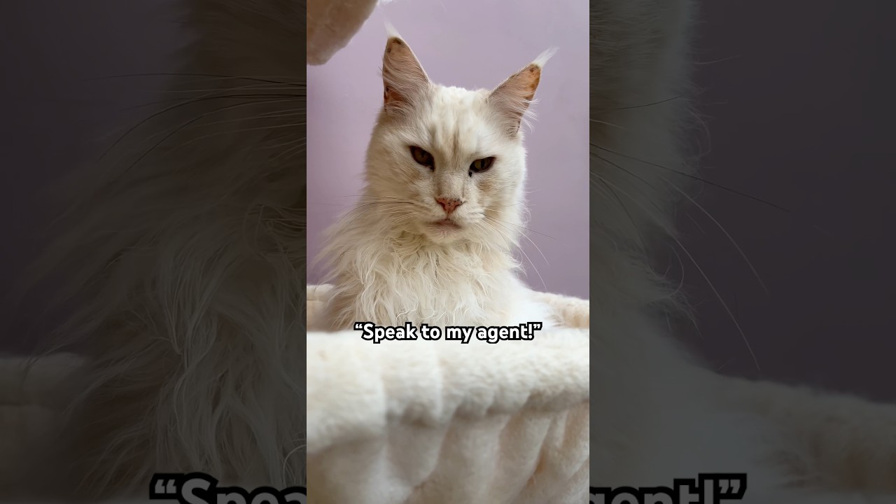 The reality of filming Oscar