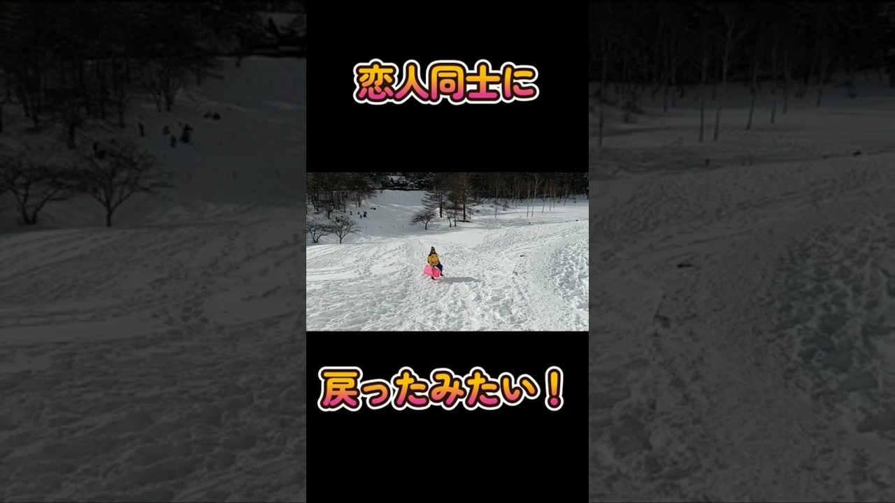 脳出血後に初スノーシューと雪遊び⑧　#shorts #脳出血 #ボーダーコリー #犬とお出かけ #ハイエース #夫婦 #スノーシュー