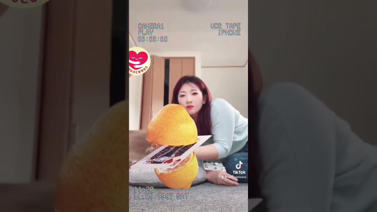 またもや愛猫逃げる💨 #tiktok #shorts #シャム猫娘