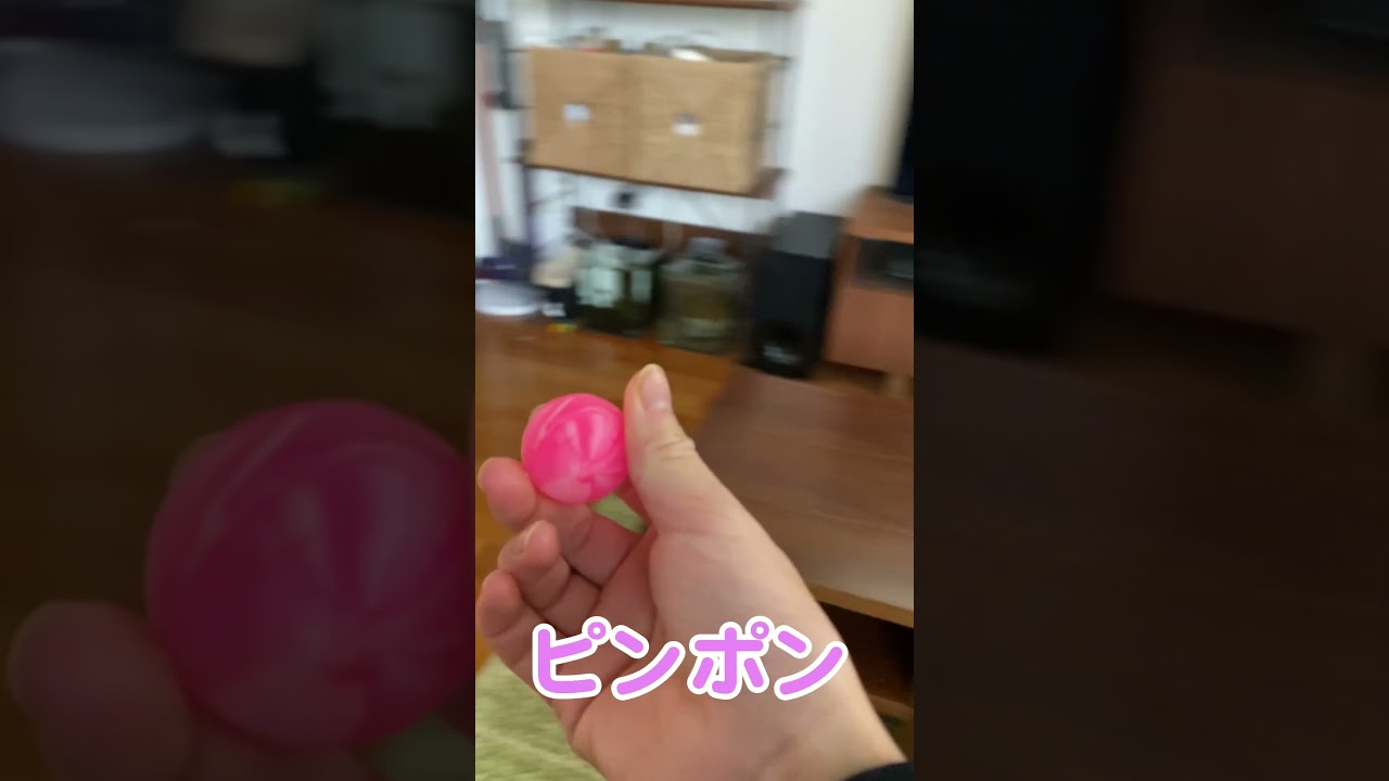 猛ダッシュしてピンポンボールを追いかける大型猫#メインクーン#shorts