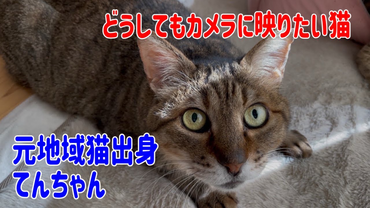 本日のなじゅ様はまったりモードです