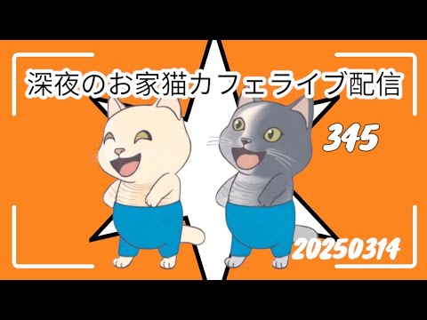 深夜のお家猫カフェライブ配信 ３４５