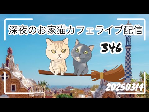 深夜のお家猫カフェライブ配信 ３４６