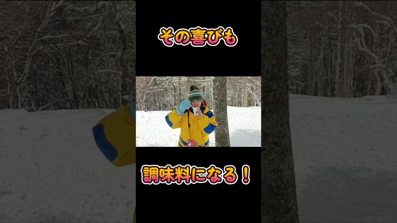 脳出血後に初スノーシューと雪遊び⑦　#shorts #脳出血 #ボーダーコリー #犬とお出かけ #ハイエース #夫婦 #スノーシュー