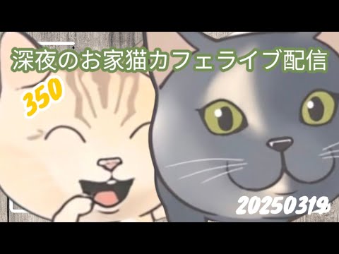 深夜のお家猫カフェライブ配信 ３５０