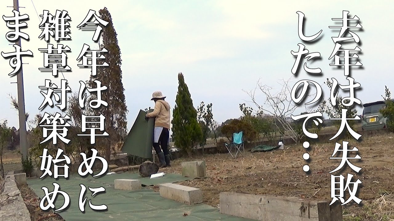 春から防草シートで雑草対策と、甘えん坊になった猫たち