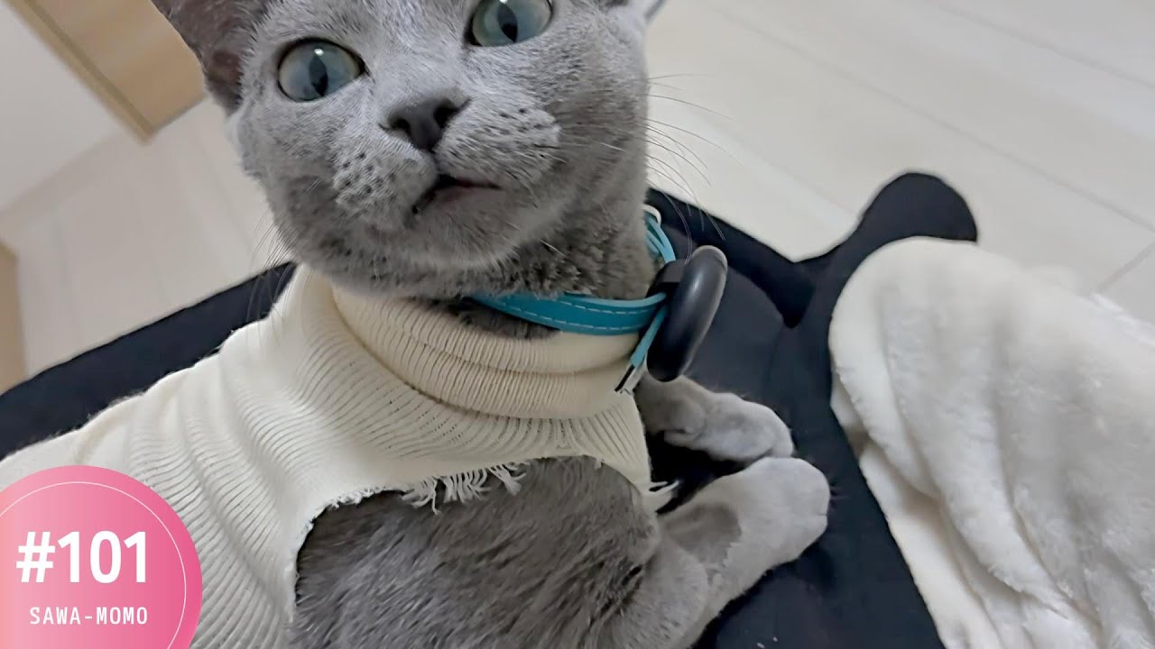 さらにズタズタの服と検診後の事件