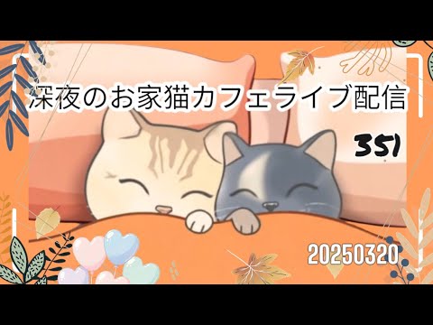深夜のお家猫カフェライブ配信 ３５１