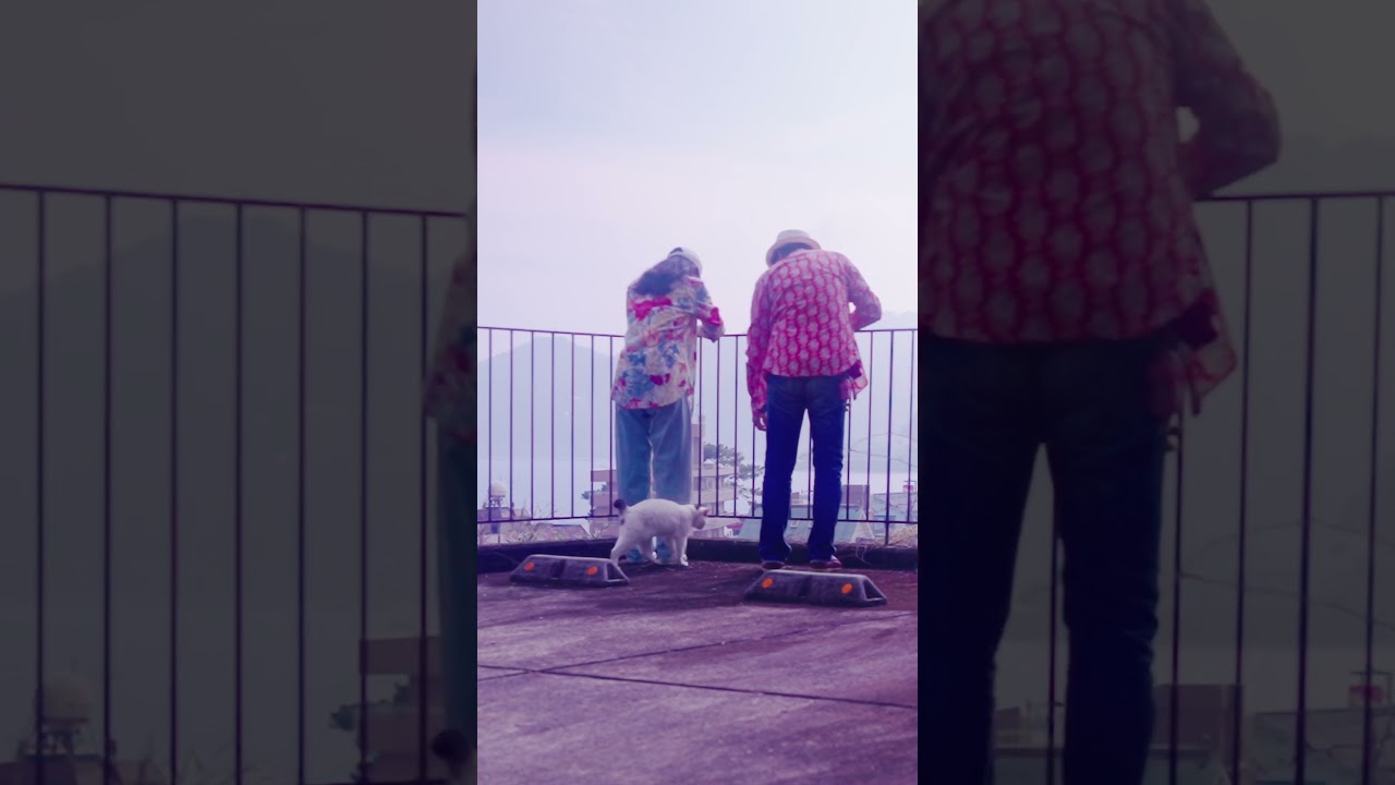 みんニャでお散歩楽しいニャー❣  スリスリ❣ するニャ #cat #散歩 #熱海 ＃ジャパニーズ・ボブテイル #猫のいる暮らし #保護猫 #野良猫 #癒し #猫好き