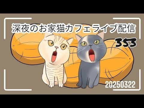 深夜のお家猫カフェライブ配信 ３５３