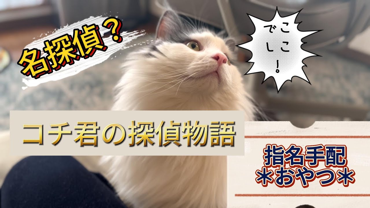 名探偵コチ君の誕生！
