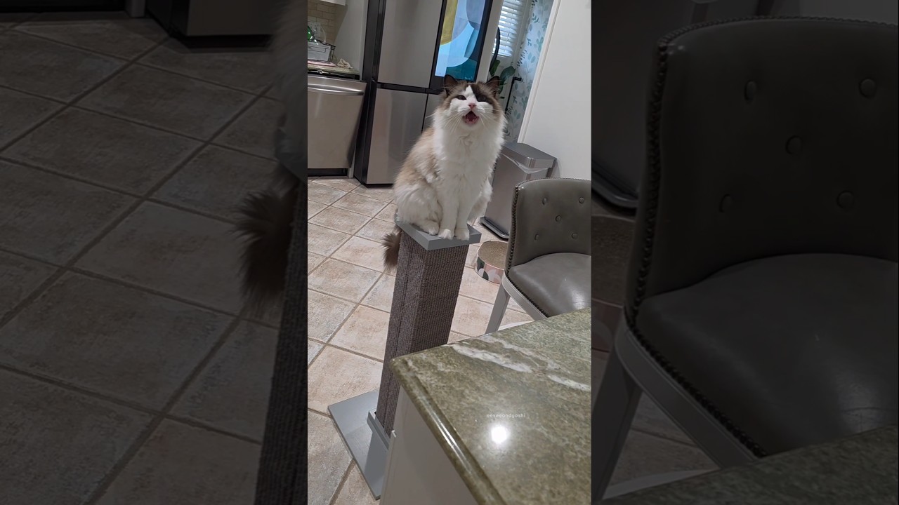 You never know what may be lurking around the corner 👀