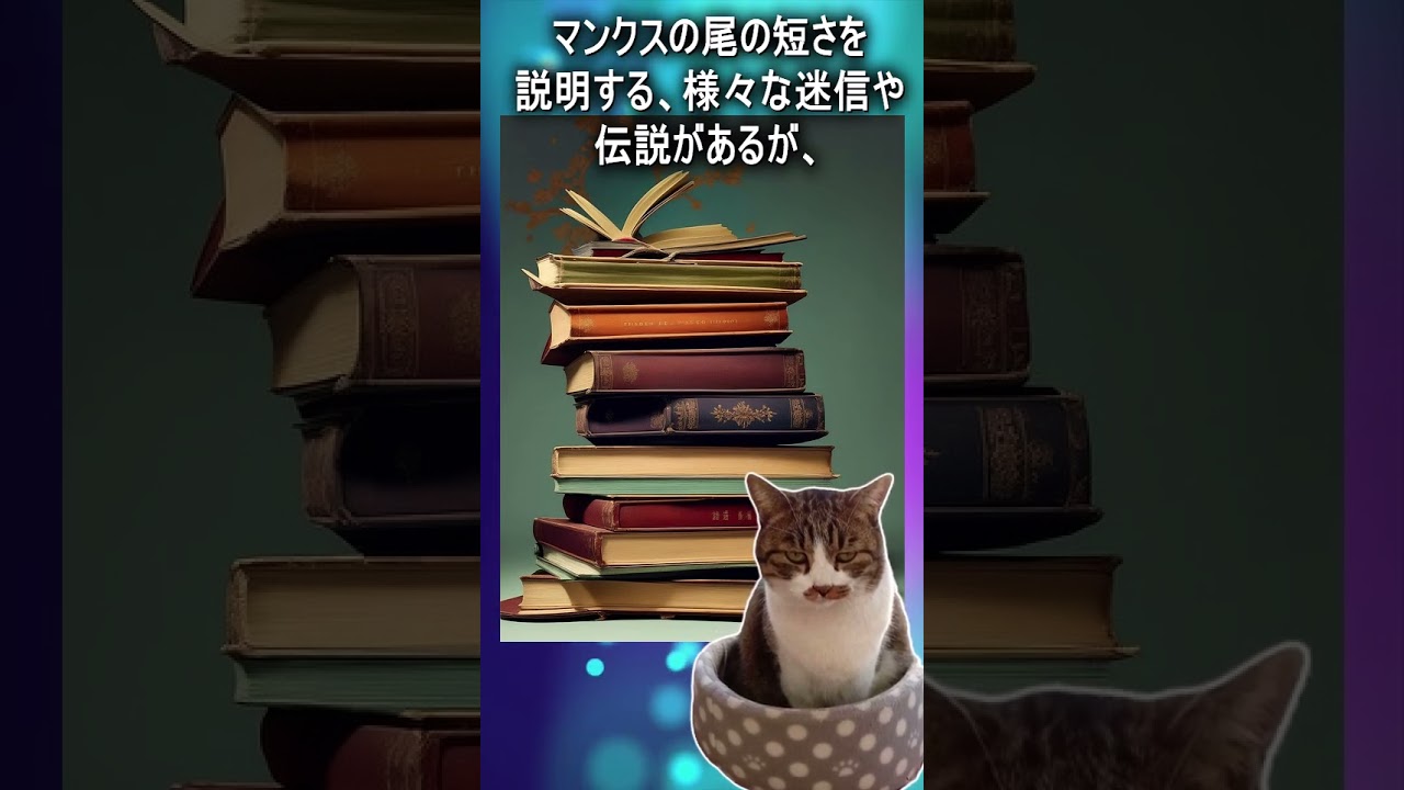 しっぽのない猫マンクスとノアの箱舟　#Shorts #猫　#cat　#雑学