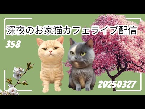深夜のお家猫カフェライブ配信 ３５８