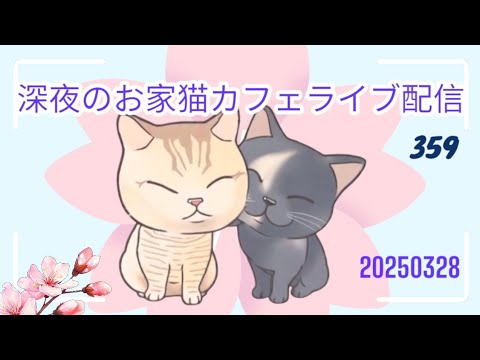 深夜のお家猫カフェライブ配信 ３５９