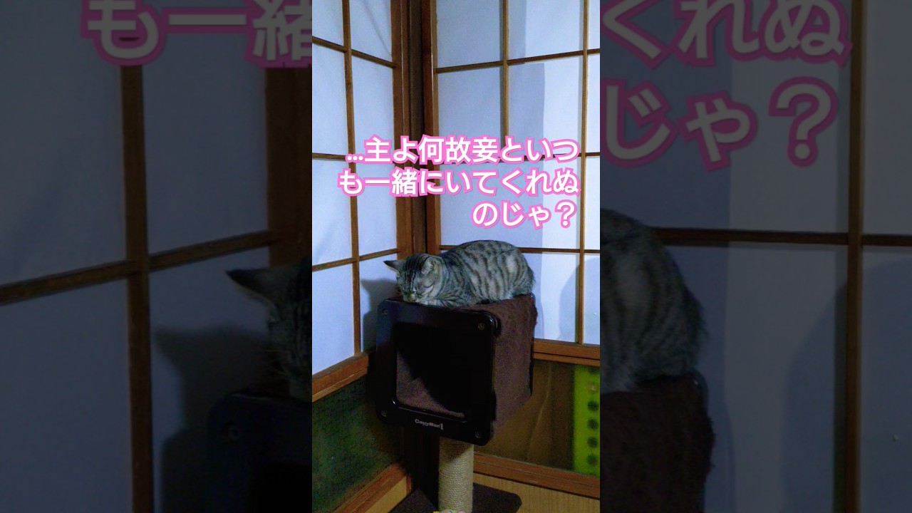 夜勤続く甥っ子（主様）を待ち焦がれる当主様の葛藤を動画にしてみた