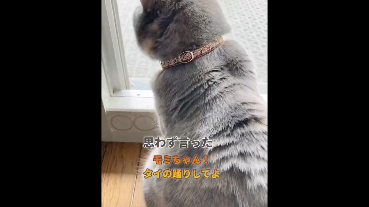 首輪オレンジ系に初挑戦してみました🧡