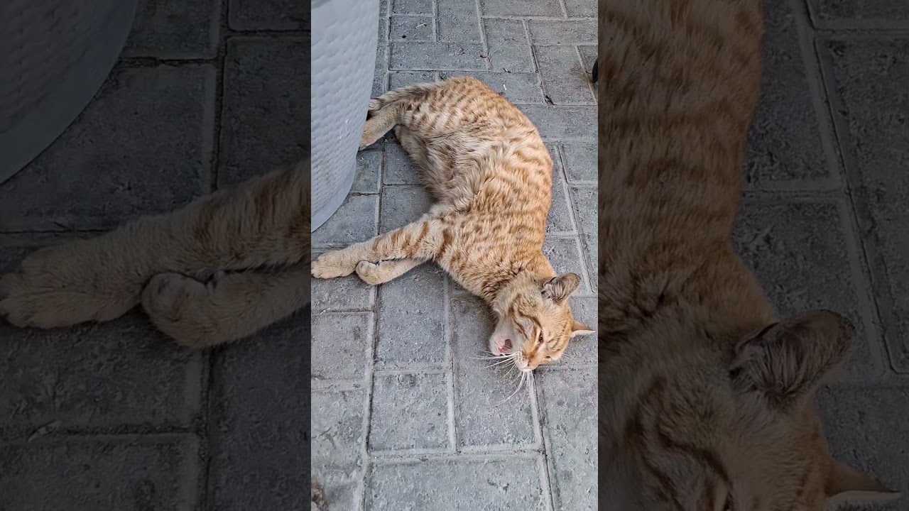 she is very funny 😁