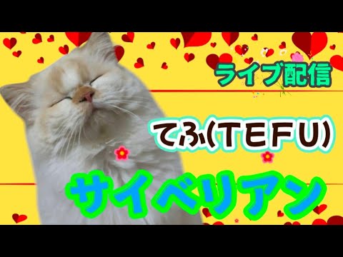 サイベリアン てふ君配信