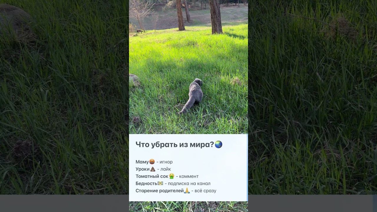 19 марта 2025 г.