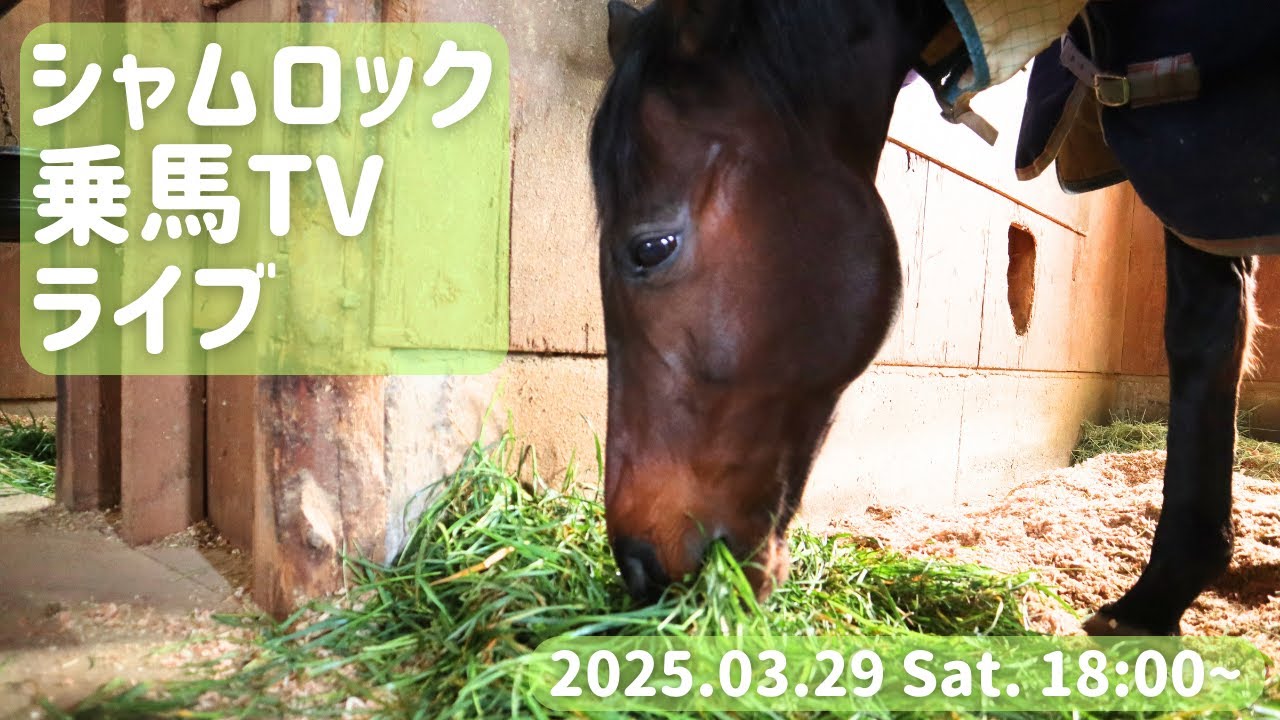 【第2部】シャムロック乗馬TVライブ！　第1四半期【EQUILENGEお疲れ】