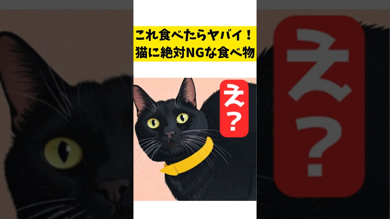 猫に絶対NGな食べ物3選！食中毒を防いで愛猫の健康を守ろう　 #cat #猫 #猫の豆知識