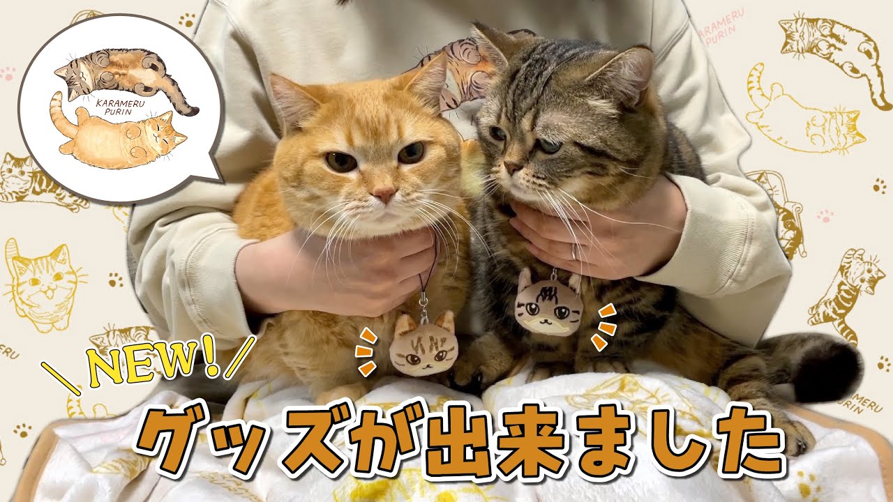 過去一！？新作グッズが可愛すぎるので語ります！【お知らせ】