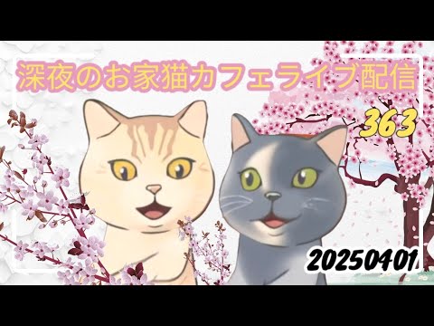 深夜のお家猫カフェライブ配信 ３６３