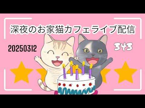 深夜のお家猫カフェライブ配信 ３４３