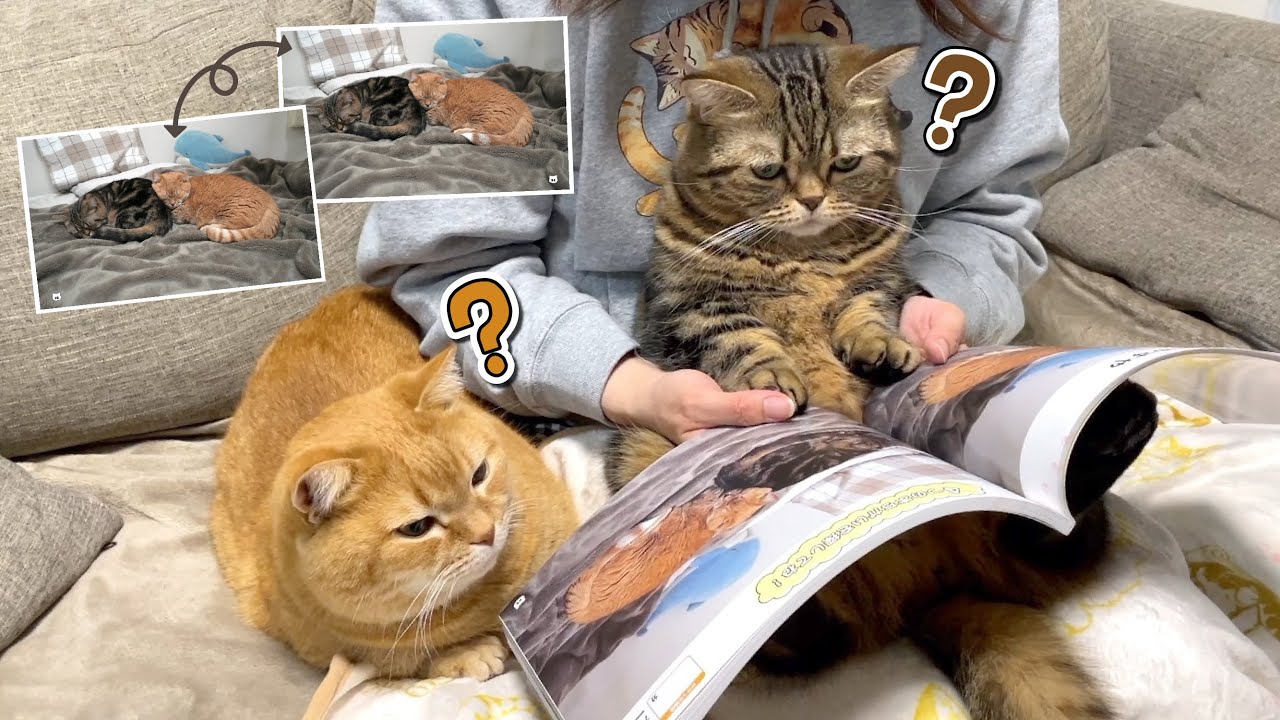 【嬉しいお知らせ】あなたはこの間違いに気付けますか…？