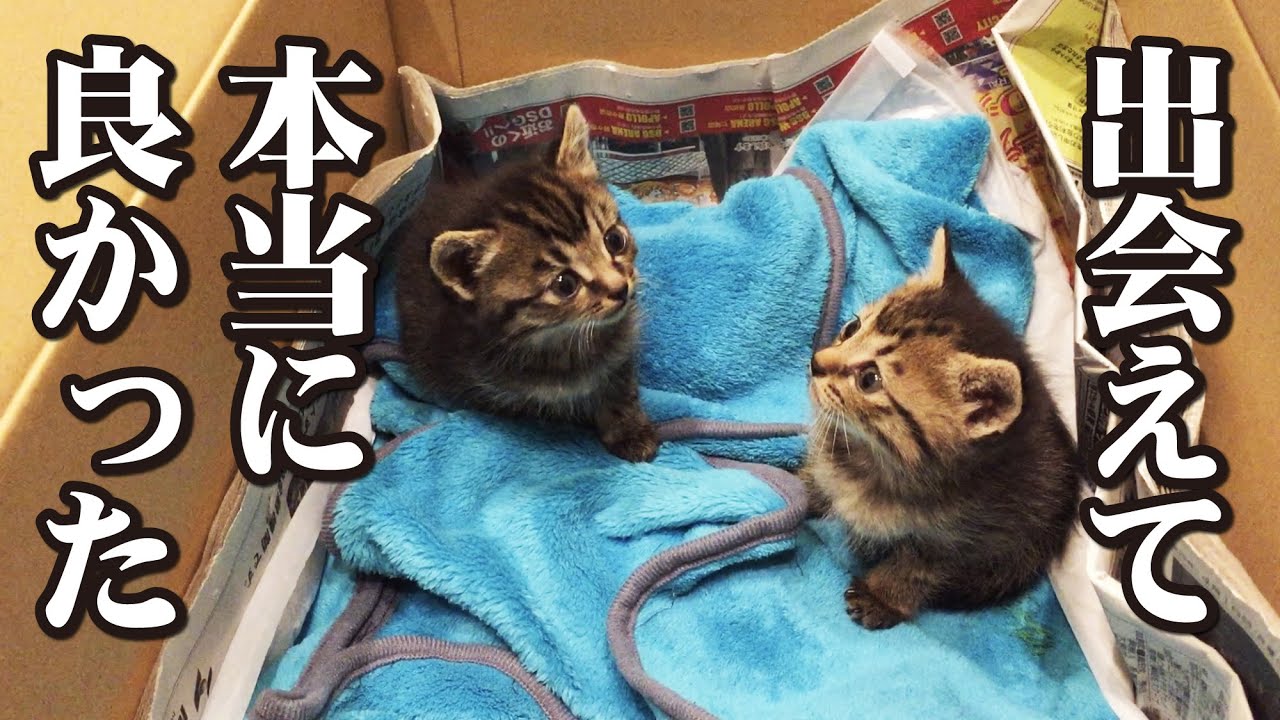 うちの子になってくれて、本当にありがとね