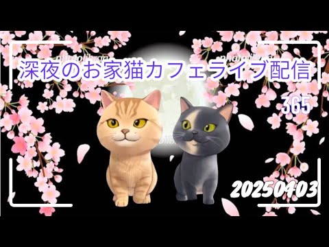 深夜のお家猫カフェライブ配信 ３６５