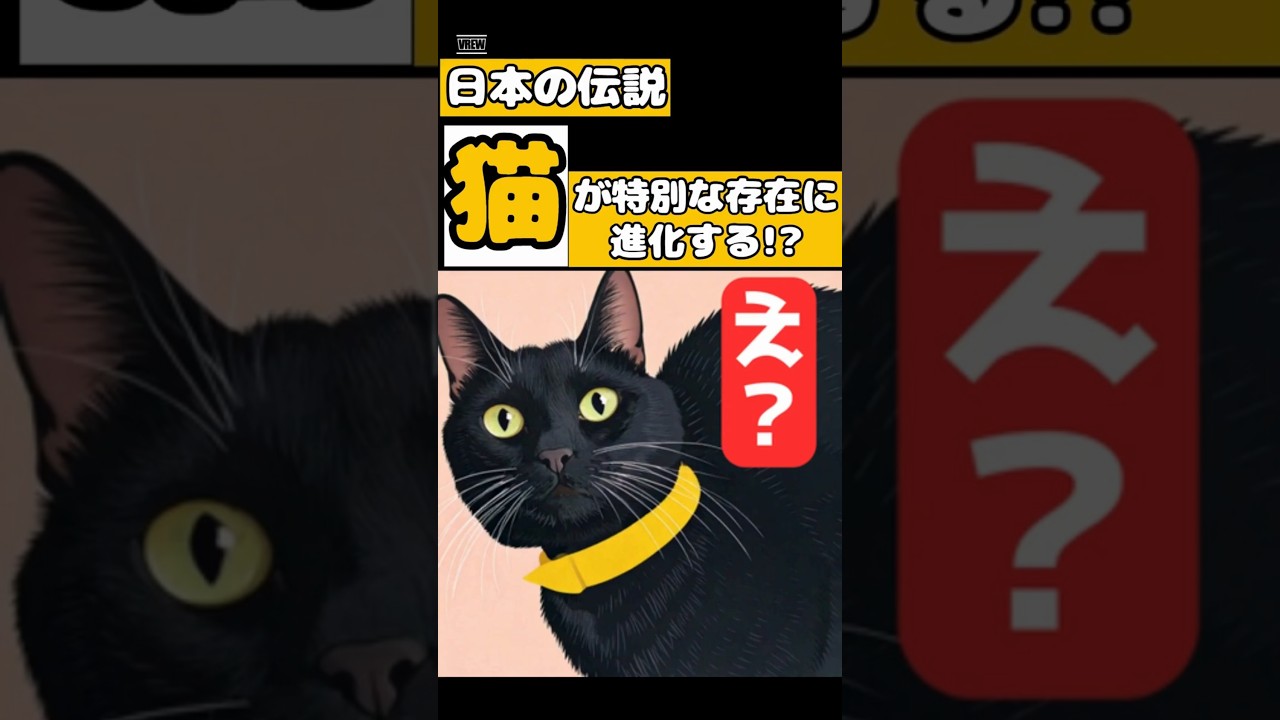 【感動】猫が旅立っても…！？