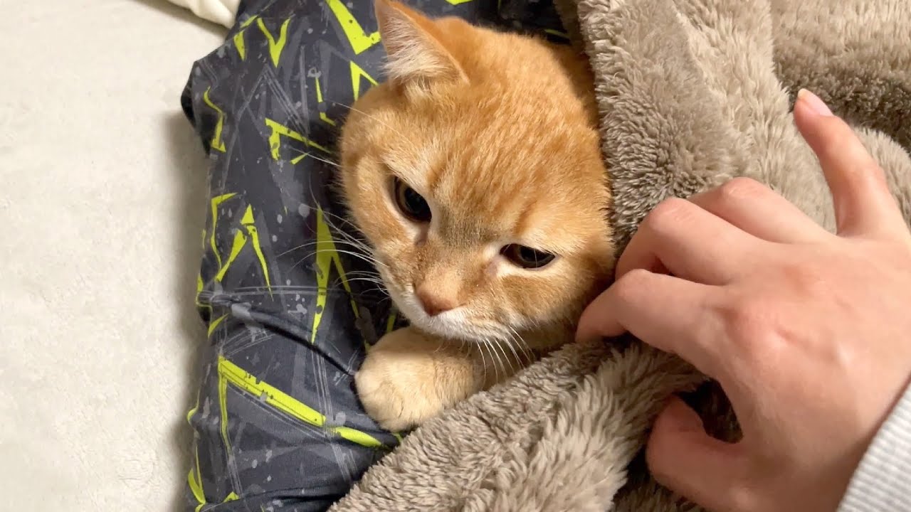 たまには風邪をひいてもいいかなぁと思う理由