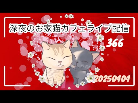 深夜のお家猫カフェライブ配信 ３６６