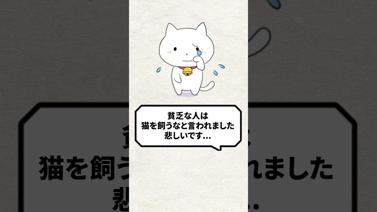 Q：貧乏は猫を飼うなと言われました #猫 #猫のいる暮らし #ねこ