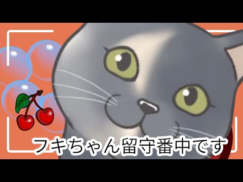 フキちゃんが留守番中です