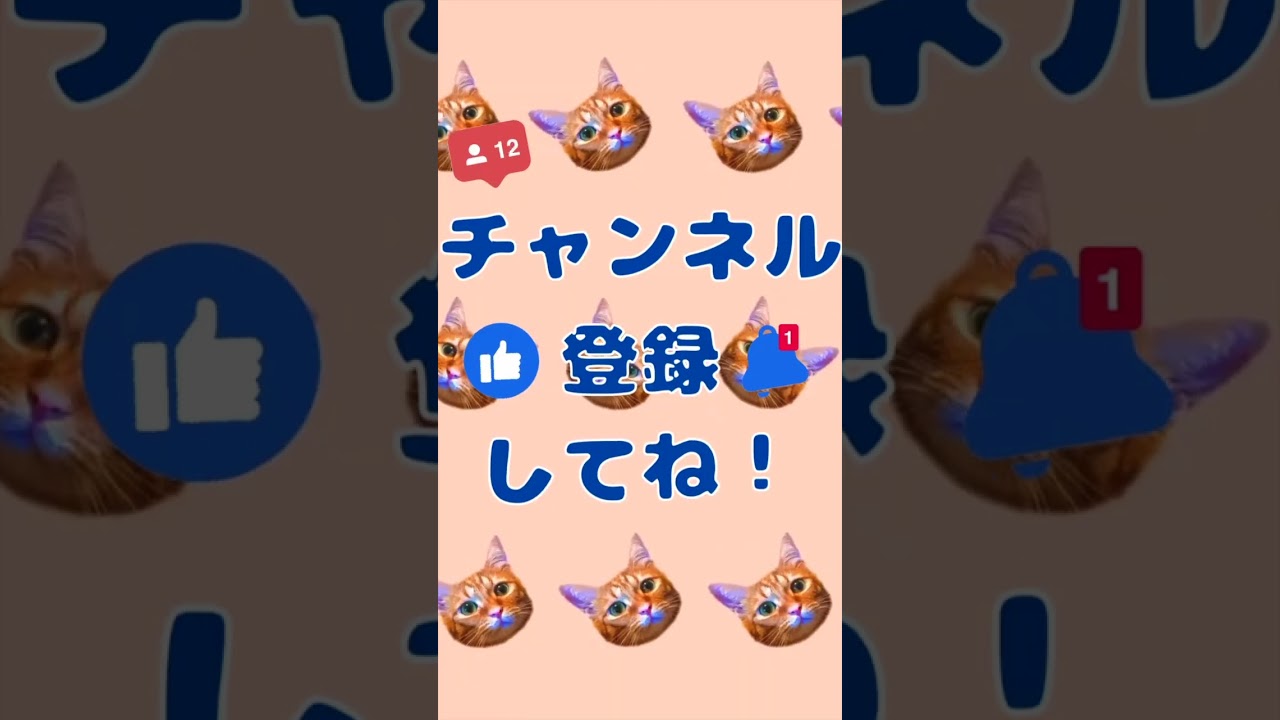 【元気一杯！】#むぎほ #ひーくん #子猫 #保護猫