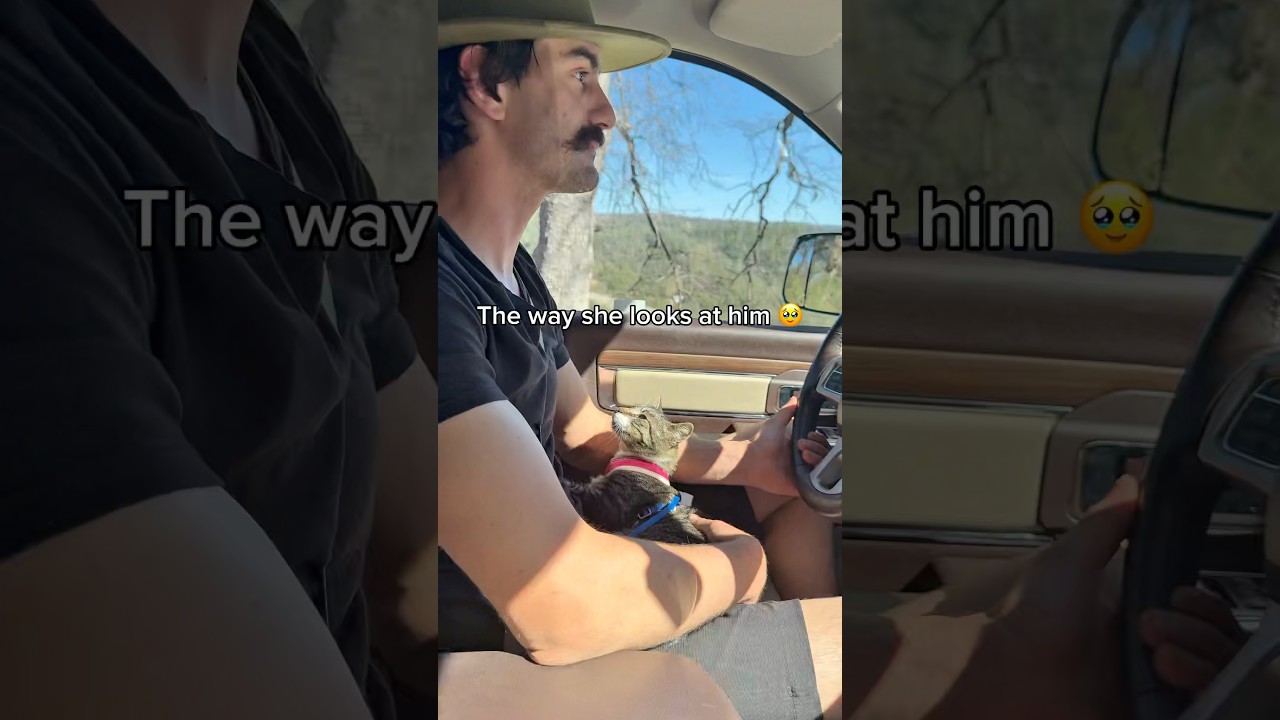 This Cat's Love For Her Dad Will MELT YOUR HEART! 🥹