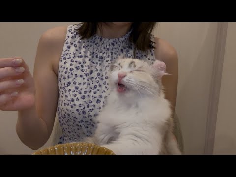 新年度、カリカリ食べる。crunching.