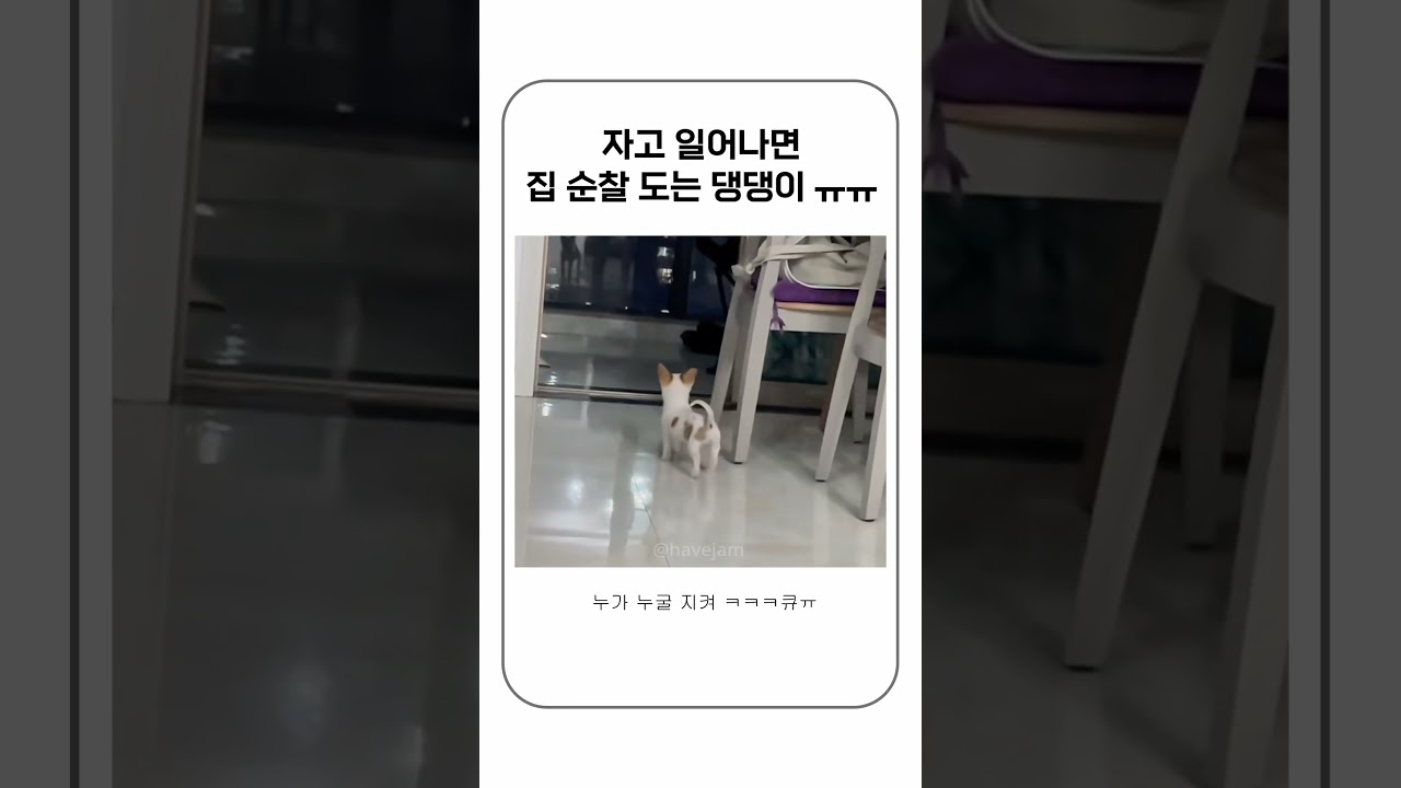 자기 딴에는 엄청 용맹하다고 생각하겠지?🥹 #shorts