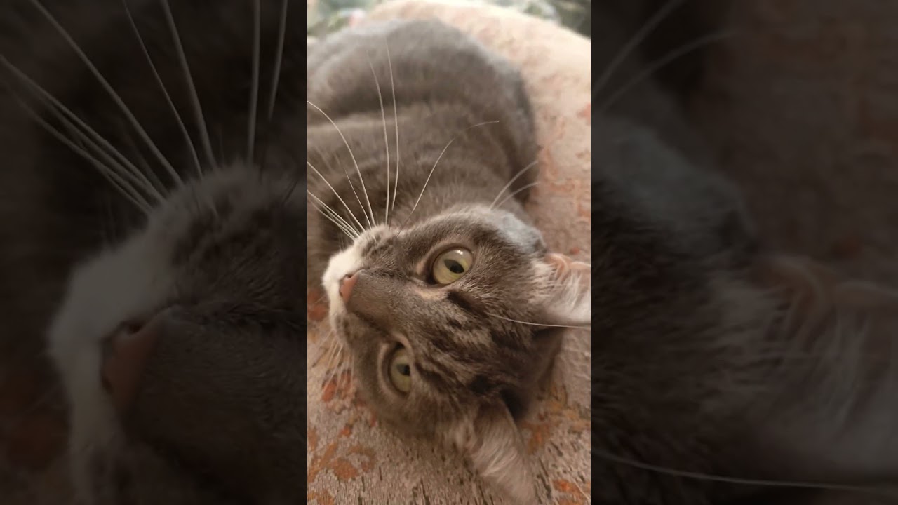 4 апреля 2025 г.