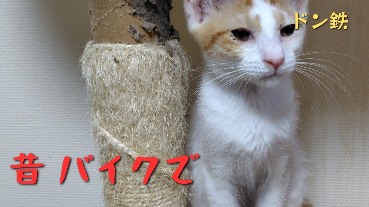 昔 バイクで🏍