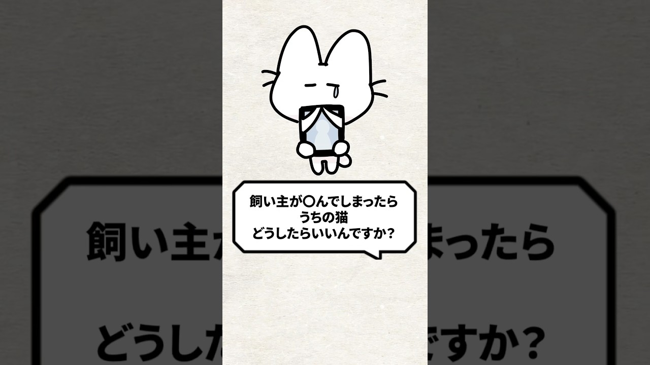 Q：飼い主が○んだらうちの猫どうすればいいの？ #猫 #猫のいる暮らし #ねこ