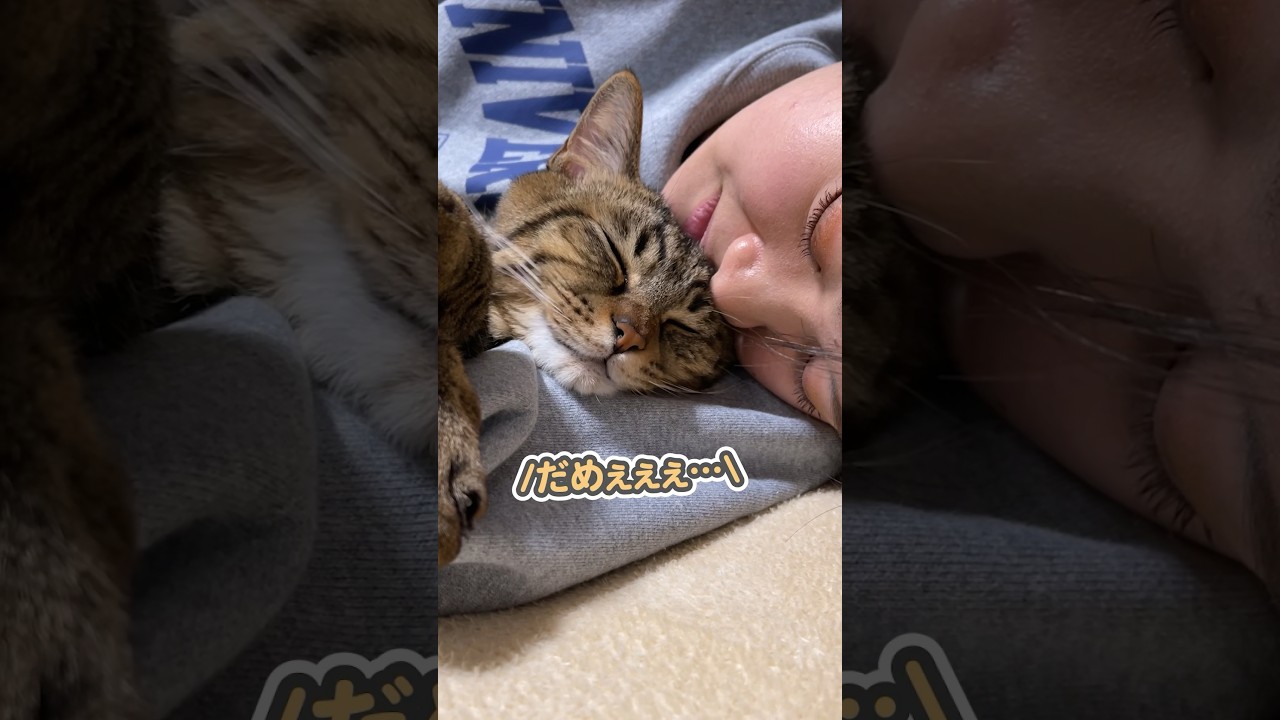 「行っちゃだめぇ…」と大好きなママを引き止める、甘えん坊な猫