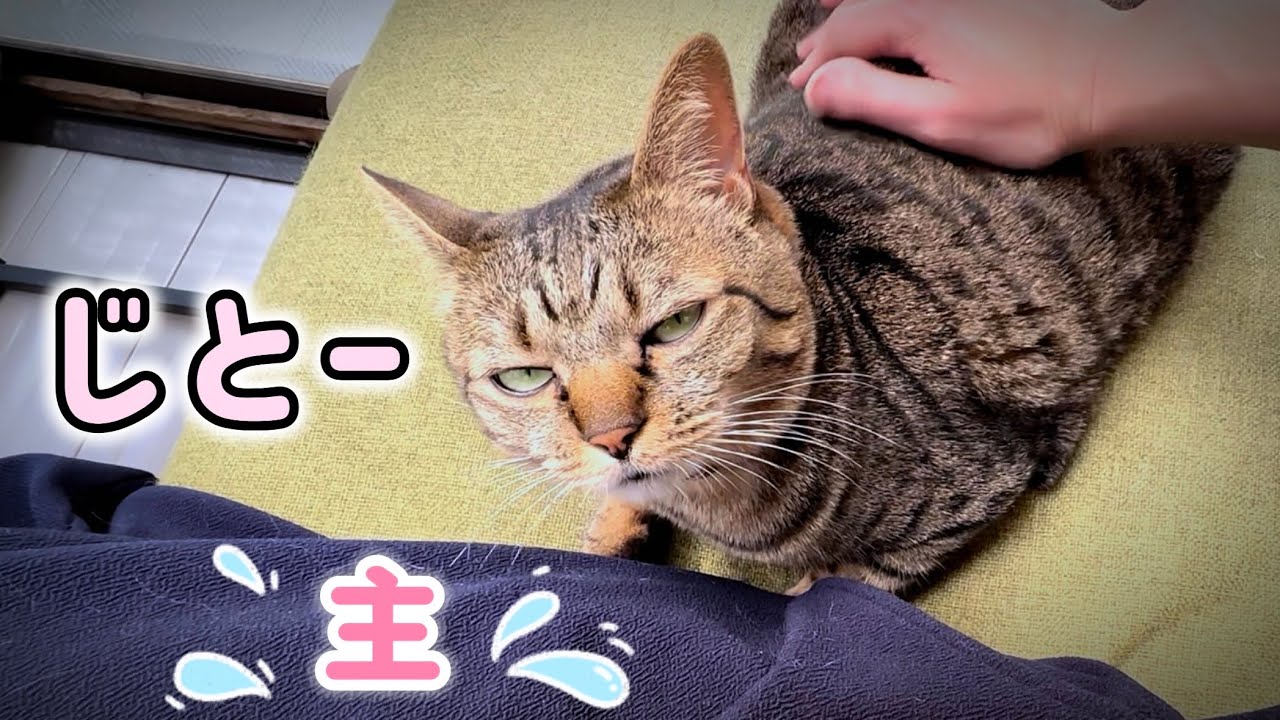 しばらく留守にするって伝えた時の顔がコチラ