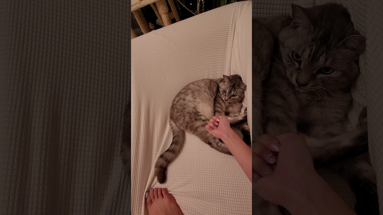 보리쌀
