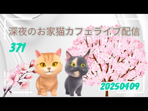 深夜のお家猫カフェライブ配信　371