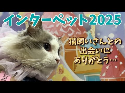 猫とヘイトごはん｜インターペットありがとうございました！