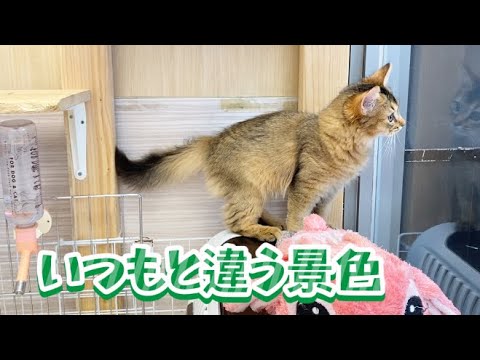 2024.11.19ソマリ様プレイルームで運動会！